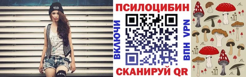 Галлюциногенные грибы мицелий наркотики Вихоревка